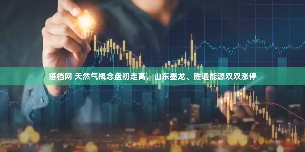 搭档网 天然气概念盘初走高，山东墨龙、胜通能源双双涨停
