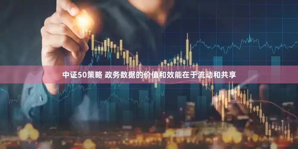 中证50策略 政务数据的价值和效能在于流动和共享