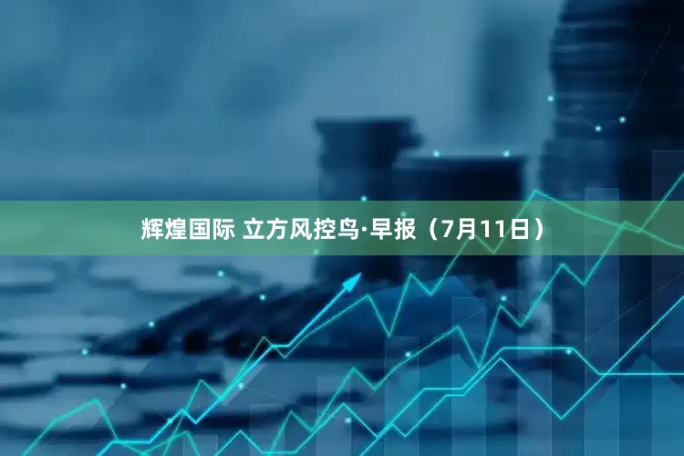 辉煌国际 立方风控鸟·早报（7月11日）