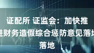 证配所 证监会：加快推进财务造假综合惩防意见落地