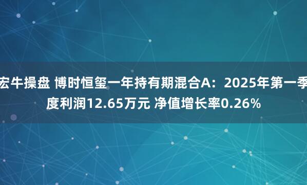 宏牛操盘 博时恒玺一年持有期混合A：2025年第一季度利润12.65万元 净值增长率0.26%