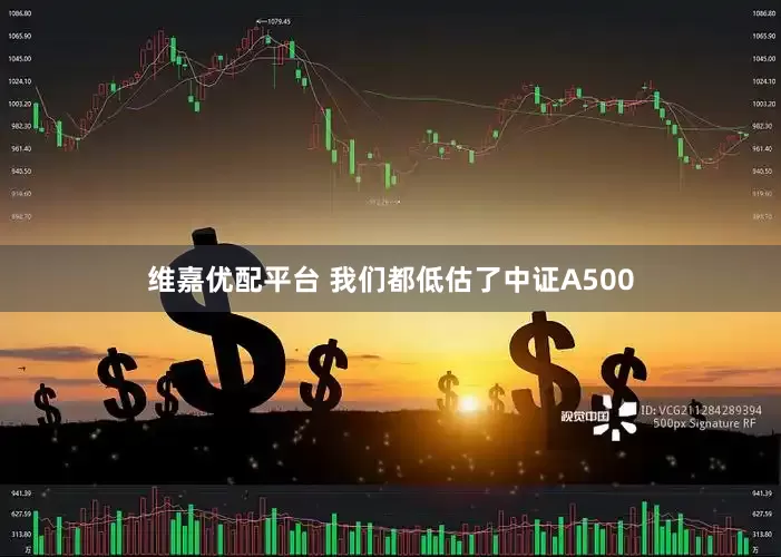 维嘉优配平台 我们都低估了中证A500