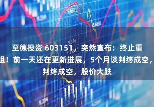 至德投资 603151，突然宣布：终止重大资产重组！前一天还在更新进展，5个月谈判终成空，股价大跌